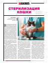 Научная статья на тему 'Стерилизация кошки'