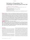 Научная статья на тему 'STOCHASTICS OF DEGRADATION: THE AUTOPHAGIC-LYSOSOMAL SYSTEM OF THE CELL'