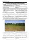 Научная статья на тему 'Стратегия сортового семеноводства для искусственного лесоразведения в экстремально засушливых условиях'