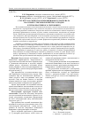 Научная статья на тему 'Структура и свойства композиционного материала на основе стекловолокнистых отходов и термореактивного связующего'