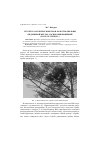 Научная статья на тему 'Структура мужских побегов и качество пыльцы «Ведьминой метлы» сосны обыкновенной (Pinus sylvestris L. )'
