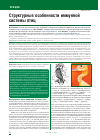 Научная статья на тему 'Структурные особенности иммунной системы птиц'