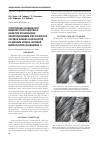 Научная статья на тему 'Структурные особенности межклеточного матрикса кожи при хроническом облитерирующем атеросклерозе сосудов нижних конечностей по данным атомно-силовой микроскопии (сообщение 1)'