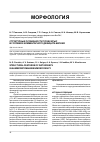 Научная статья на тему 'Структурные особенности почек крыс в условиях алиментарного дефицита магния'