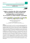 Научная статья на тему 'STUDIES TO ELUCIDATE THE EFFECT AND ANTIAPOPTOTIC MECHANISM OF 2-ETHYL-3-HYDROXY-6-METHYLPYRIDINE-N-ACETYLTAURINATE IN A RAT MODEL OF RETINAL ISCHEMIA-REPERFUSION'