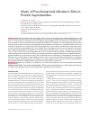 Научная статья на тему 'Study of functional and allosteric sites in protein superfamilies'