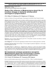 Научная статья на тему 'Study of the influence of Medusomyces gisevii Sa-12 inoculum dosage on bacterial cellulose yield and degree of polymerisation'