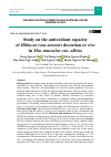 Научная статья на тему 'STUDY ON THE ANTIOXIDANT CAPACITY OF HIBISCUS ROSA-SINENSIS DECOCTION IN VIVO IN MUS MUSCULUS VAR. ALBINO'