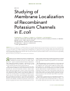 Научная статья на тему 'Studying of membrane localization of recombinant potassium channels in E. coli'