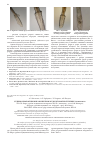 Научная статья на тему 'Судебно-биологические экспертизы в Удмуртской Республике за 2010-2013 г'
