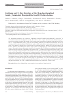 Научная статья на тему 'Synthesis and X-ray structure of the Monofunctionulized Amide-Terminated Phenylsulfide iron(ii) clathrochelates'