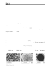 Научная статья на тему ' synthesis of porous material from mixtures of boron, nickel-clad aluminum composite powders (npa75-80)'