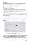 Научная статья на тему 'Тактические приёмы ворона Corvus corax при охоте на берингийского суслика Spermophilus parryii'