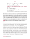 Научная статья на тему 'Telomere lengthening and other functions of telomerase'