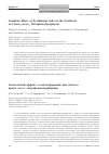 Научная статья на тему 'Template effect of pyridinium salts in the synthesis of crown-meso-tetraphenylporphyrin'