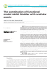 Научная статья на тему 'The constitution of functional model rabbit bladder with acellular matrix'