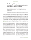 Научная статья на тему 'The Drosophila agnostic locus: involvement in the formation of cognitive defects in Williams syndrome'
