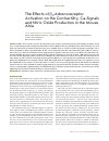 Научная статья на тему 'The effects of p 2-adrenoreceptor activation on the contractility, Ca-signals and nitric oxide production in the mouse atria'