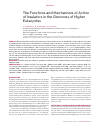 Научная статья на тему 'THE FUNCTIONS AND MECHANISMS OF ACTION OF INSULATORS IN THE GENOMES OF HIGHER EUKARYOTES'