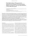 Научная статья на тему 'The mechanism of fluorescence quenching of protein photosensitizers based on miniSOG during internalization of the HER2 receptor'