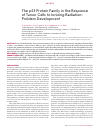 Научная статья на тему 'THE P53 PROTEIN FAMILY IN THE RESPONSE OF TUMOR CELLS TO IONIZING RADIATION: PROBLEM DEVELOPMENT'