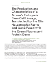 Научная статья на тему 'The production and characteristics of a mouse’s embryonic stem cell lineage, transfected by the glia neurotrophic factor and gene fused with the green fluorescent protein gene'