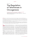 Научная статья на тему 'The regulation of telomerase in oncogenesis'