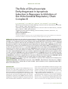 Научная статья на тему 'The role of dihydroorotate dehydrogenase in apoptosis induction in response to inhibition of the mitochondrial respiratory chain complex III'