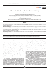 Научная статья на тему 'THE ROLE OF ENDOTHELIN-1 IN THE DOXORUBICIN CARDIOTOXICITY'