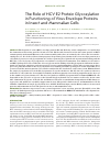 Научная статья на тему 'The role of HCV e2 protein glycosylation in functioning of virus envelope proteins in insect and mammalian cells'