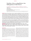 Научная статья на тему 'THE ROLE OF NON-CODING RNAS IN THE PATHOGENESIS OF GLIAL TUMORS'