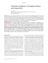 Научная статья на тему 'The role of p66shc in oxidative stress and apoptosis'