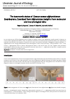 Научная статья на тему 'The taxonomic status of Cossus cossus afghanistanus (Lepidoptera, Cossidae) from Afghanistan: insights from molecular and morphological data'
