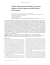 Научная статья на тему 'Three-dimensional model of mouse epidermis for experimental studies of psoriasis'