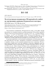 Научная статья на тему 'Толстоклювая камышевка Phragmaticola aedon во внутренних районах Буреинского нагорья'