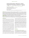 Научная статья на тему 'Transcription factor Dlx5 as a new target for promising antitumor agents'