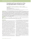 Научная статья на тему 'Translational cross-activation of the encapsidated RNA of potexviruses'