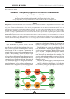 Научная статья на тему 'Traumeel s - bioregulatory approach in the treatment of inflammation'