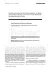 Научная статья на тему 'Ultrastructural and functional aspects of static and motile systems in two taxa of the Alveolata: Dinoflagellata and Ciliata'