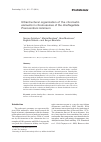 Научная статья на тему 'Ultrastructural organization of the chromatin elements in chromosomes of the dinoflagellate Prorocentrum minimum'