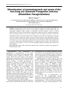 Научная статья на тему 'Ultrastructure of spermatogenesis and sperm of the free-living soil nematode Panagrellus redivivus (Rhabditida: Panagrolaimidae)'