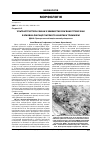 Научная статья на тему 'Ультраструктурні зміни у звивистих сім’яних трубочках в умовах фіксації сім’яного канатика тримачем'