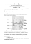 Научная статья на тему 'Ультразвуковая диагностика патологии коленного сустава'