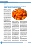 Научная статья на тему 'Урожайность перспективных гибридов томата черри на светокультуре'