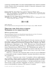 Научная статья на тему 'Ушастая сова Asio otus в городе Тайынша и его окрестностях'