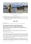 Научная статья на тему 'Успешное нападение сороки pica pica на больного сизого голубя Columba livia: новое свидетельство проявления хищничества'
