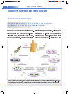 Научная статья на тему 'Успешный опыт генной терапии немелкоклеточного рака легких опухолевым супрессором p53: результаты клинических испытаний'