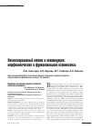 Научная статья на тему 'Увеосклеральноый отток и аккомодация: морфологическая и функциональная взаимосвязь'