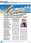 Научная статья на тему 'В суровых условиях: особенности выращивания и защиты яровых в Западной Сибири'