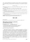 Научная статья на тему 'Вальдшнеп Scolopax rusticola на Западном Алтае'